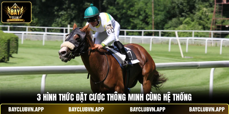 Đua Ngựa Ảo Bayclub | Đường Đua Tỷ Đô - Nhận Ngay Code 100k 4 3 hình thức đặt cược thông minh cùng hệ thống