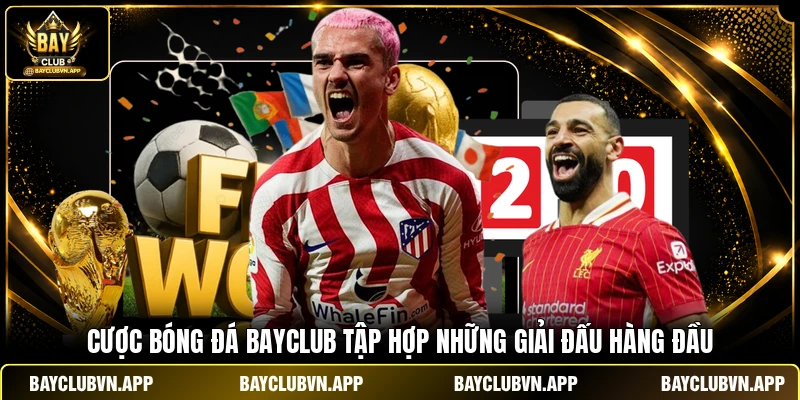 Cược bóng đá Bayclub tập hợp những giải đấu hàng đầu