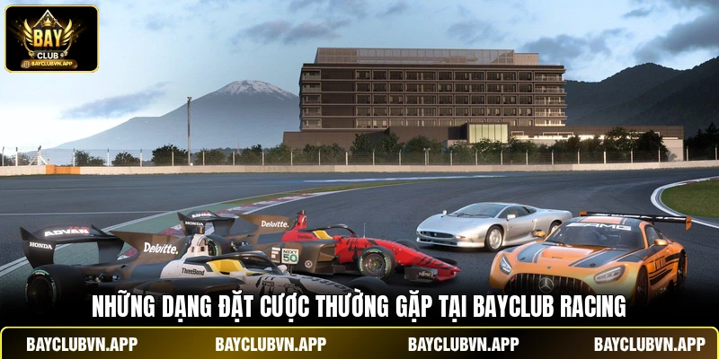 Những dạng đặt cược thường gặp tại Bayclub Racing